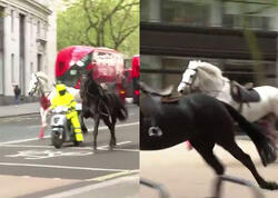 Londonda Kral Süvari Qvardiyasının atları <span class="color_red">5 nəfəri yaraladı </span>