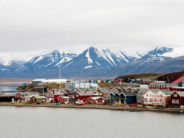 Arktikada strateji ərazi 323 milyon dollara satışa çıxarılıb