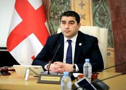 Gürcüstanda “Xarici təsir” qanununu Şalva Papuaşvili imzalayacaq