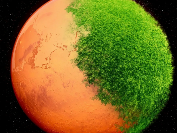 Alimlər Marsda yaşaya biləcək bitkini kəşf ediblər