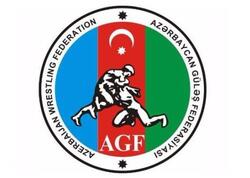 AGF Milli Musiqi Gününə həsr olunmuş paylaşım edib - VİDEO