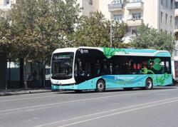 COP29 çərçivəsində Bakıda 350 elektrik avtobusu işləyəcək