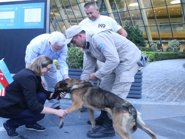 ABŞ Azərbaycana daha iki minaaxtaran it verib - FOTO