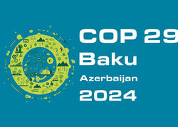 COP29-da nələr müzakirə edilməlidir?