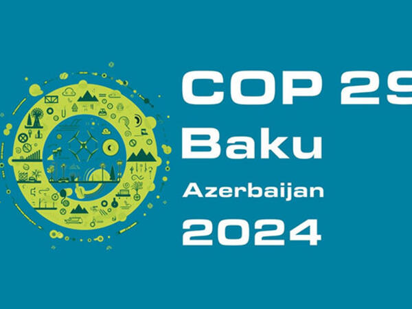 COP29-da nələr müzakirə edilməlidir?