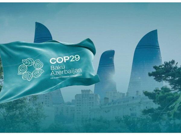 COP29: İqlim diplomatiyası vasitəsilə sülh