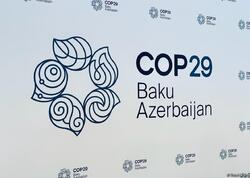 COP29 Azərbaycanda: Mərkəzi Asiya üçün yeni iqlim həlləri