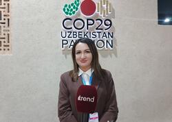 &quot;COP29-da qəbul olunan qərarlar bəşəriyyət üçün böyük addım olacaq&quot;