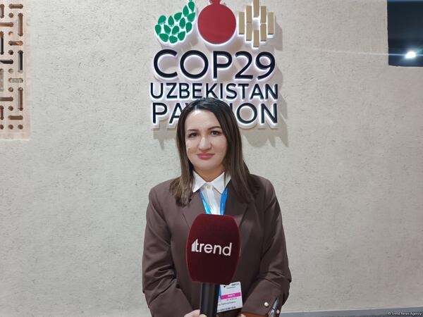 &quot;COP29-da qəbul olunan qərarlar bəşəriyyət üçün böyük addım olacaq&quot;