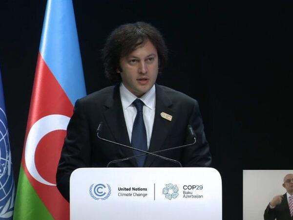 Kobaxidze COP29-da maliyyə öhdəliklərinin artırılmasına çağırış etdi