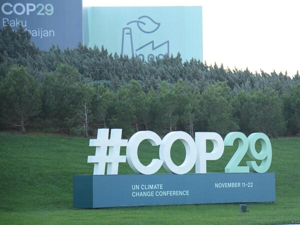 COP29 çərçivəsində Maliyyə Günü keçirilir