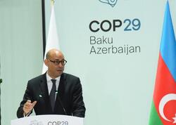 COP29-da BMT rəsmisi G20 liderlərinə çağırış etdi