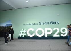 COP29-un doqquzuncu günündən <span class="color_red">FOTOREPORTAJ</span>