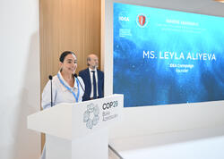 Leyla Əliyeva COP29 çərçivəsində dəniz canlılarına dair panel müzakirələrində iştirak edib - FOTO