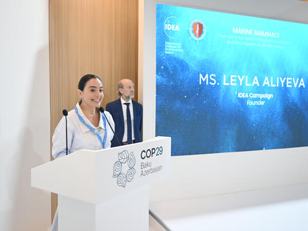 Leyla Əliyeva COP29 çərçivəsində dəniz canlılarına dair panel müzakirələrində iştirak edib - FOTO