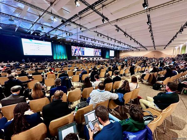 COP29-da Azərbaycana minnətdarlıq ifadə olunan qətnamə qəbul edilib