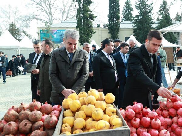 Sayca 9-cu “KOB Fest” sərgi-satış yarmarkası Göyçayda keçirilir - FOTO