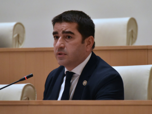 Papuaşvili: Bəziləri qanunları öz övladlarına aid olduqda xatırlayırlar