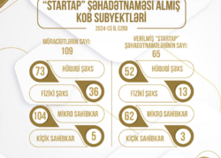 2024-cü ildə 65 KOB subyektinə “Startap” şəhadətnaməsi verilib